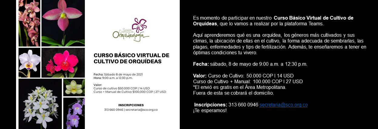 Curso mayo
